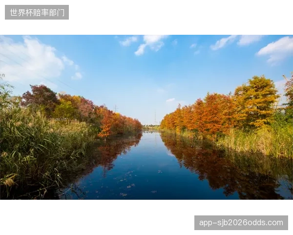 深圳大运中心的雨水回收闭环：中建三局的海绵城市设计如何利用超过8000立方米的调蓄池，为场馆的冷却塔和绿化系统提供补充水源